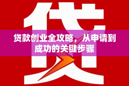 谯城贷款创业全攻略，从申请到成功的关键步骤