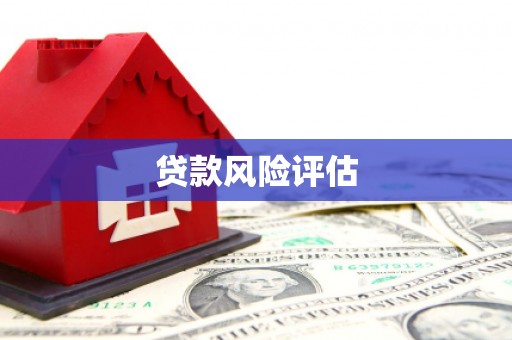 谯城贷款风险评估