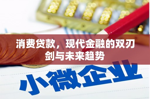 谯城消费贷款，现代金融的双刃剑与未来趋势