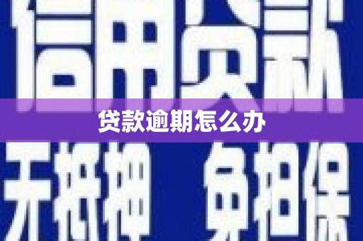 谯城贷款逾期怎么办