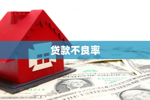 谯城贷款不良率