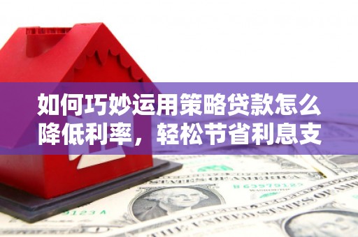 谯城如何巧妙运用策略贷款怎么降低利率，轻松节省利息支出