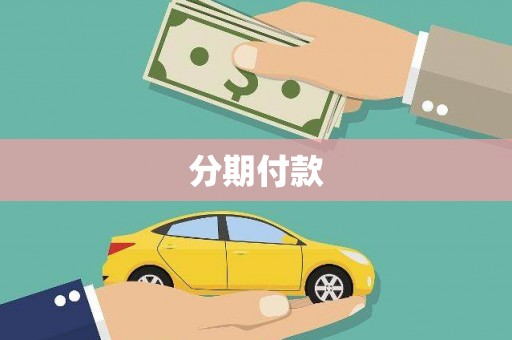 谯城分期付款