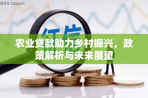 谯城农业贷款助力乡村振兴，政策解析与未来展望