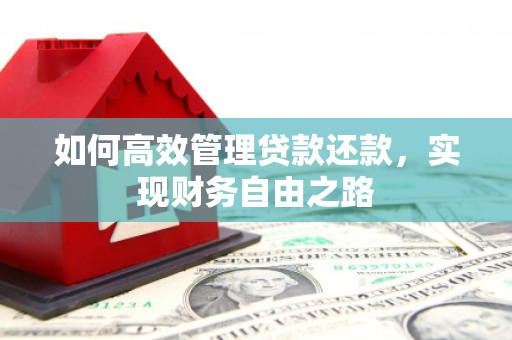 谯城如何高效管理贷款还款，实现财务自由之路