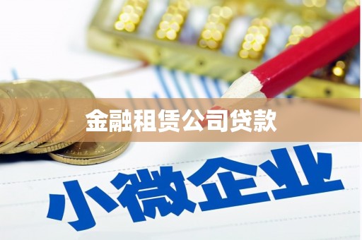 谯城金融租赁公司贷款