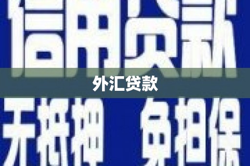 谯城外汇贷款