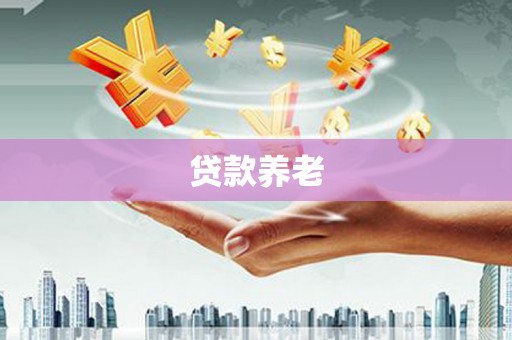 谯城贷款养老