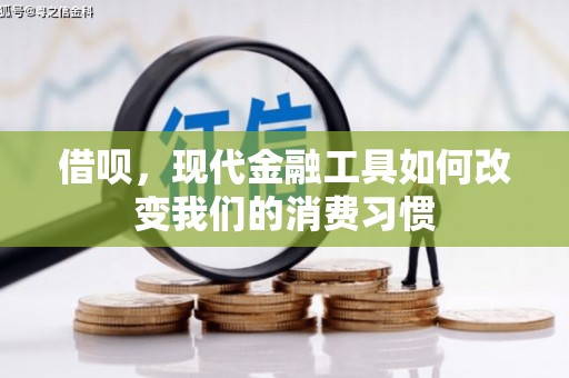 谯城借呗，现代金融工具如何改变我们的消费习惯