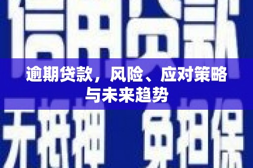 谯城逾期贷款，风险、应对策略与未来趋势