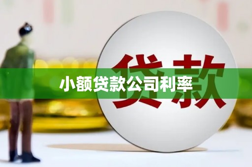 谯城小额贷款公司利率