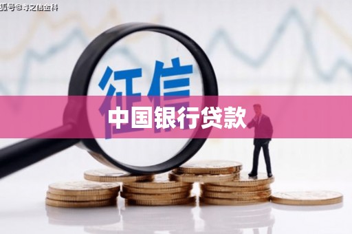 谯城中国银行贷款