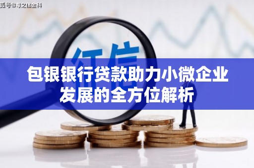谯城包银银行贷款助力小微企业发展的全方位解析