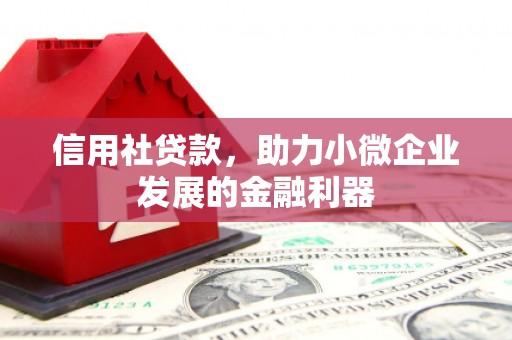 谯城信用社贷款，助力小微企业发展的金融利器