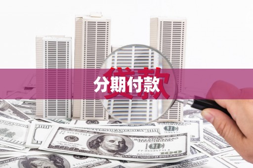 谯城分期付款