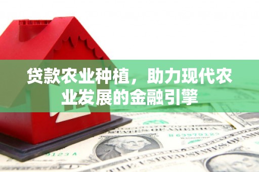 谯城贷款农业种植，助力现代农业发展的金融引擎