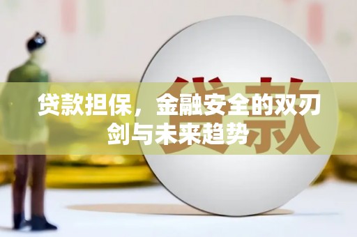 谯城贷款担保，金融安全的双刃剑与未来趋势