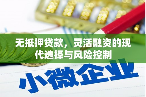 谯城无抵押贷款，灵活融资的现代选择与风险控制