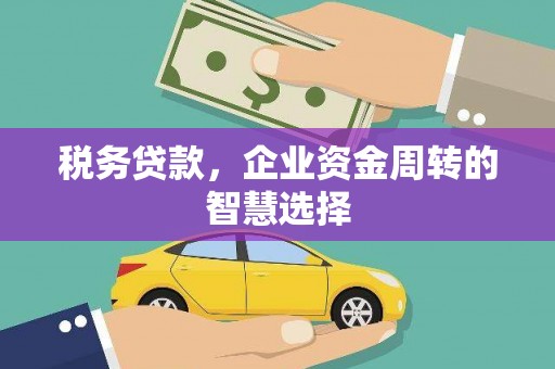 谯城税务贷款，企业资金周转的智慧选择
