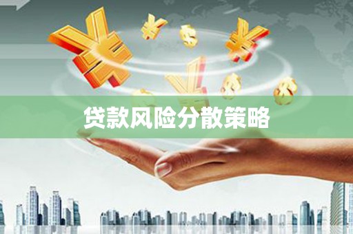 谯城贷款风险分散策略