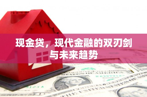 谯城现金贷，现代金融的双刃剑与未来趋势
