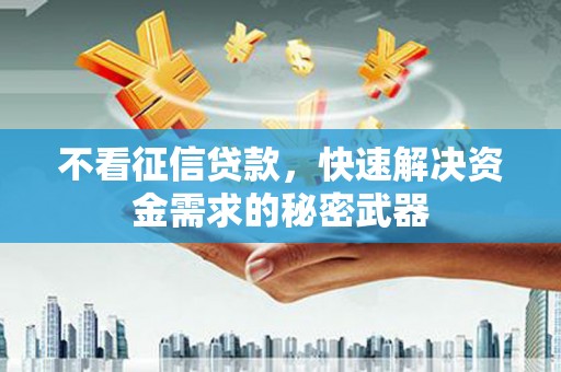 谯城不看征信贷款，快速解决资金需求的秘密武器