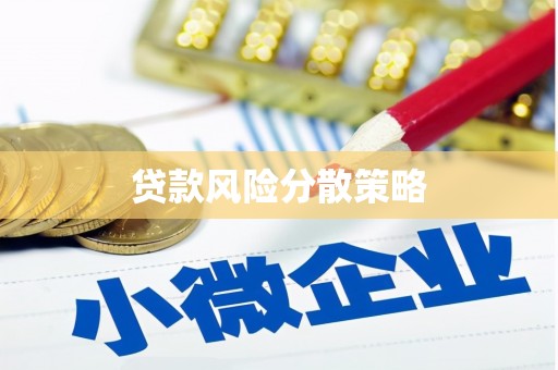 谯城贷款风险分散策略