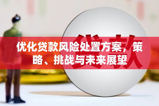 谯城优化贷款风险处置方案，策略、挑战与未来展望