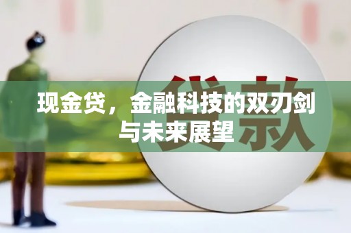 谯城现金贷，金融科技的双刃剑与未来展望