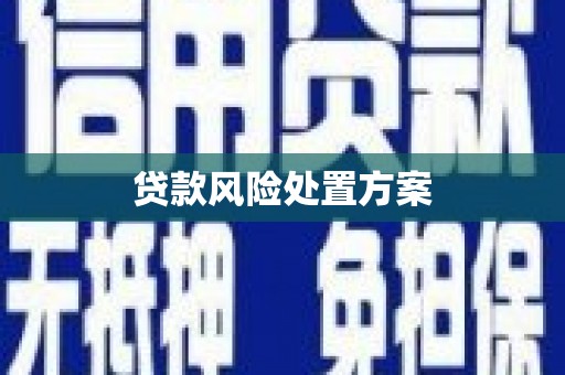 谯城贷款风险处置方案