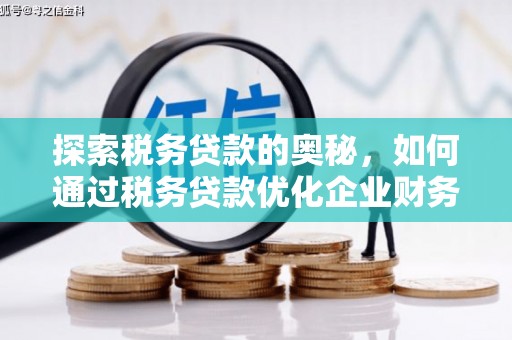 谯城探索税务贷款的奥秘，如何通过税务贷款优化企业财务