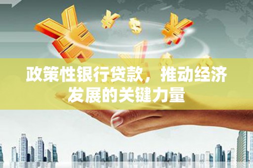 谯城政策性银行贷款，推动经济发展的关键力量
