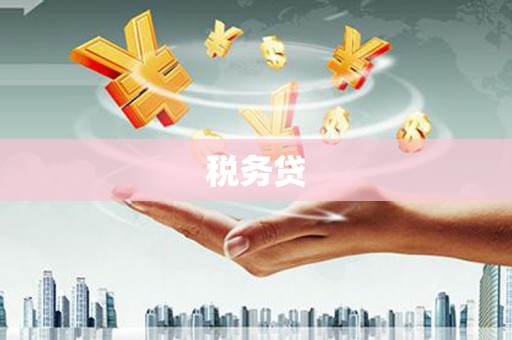 谯城税务贷