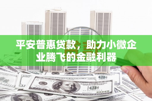 谯城平安普惠贷款，助力小微企业腾飞的金融利器