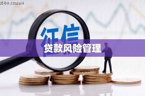 谯城贷款风险管理