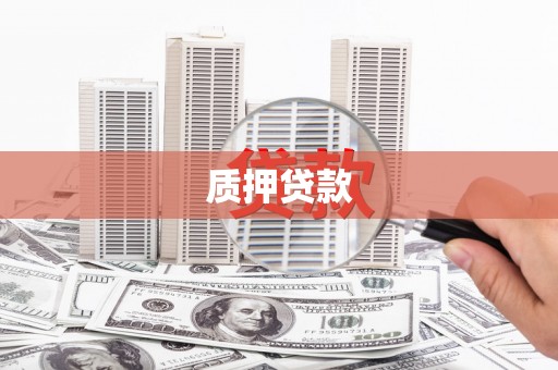 谯城质押贷款