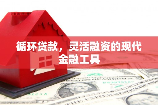 谯城循环贷款，灵活融资的现代金融工具