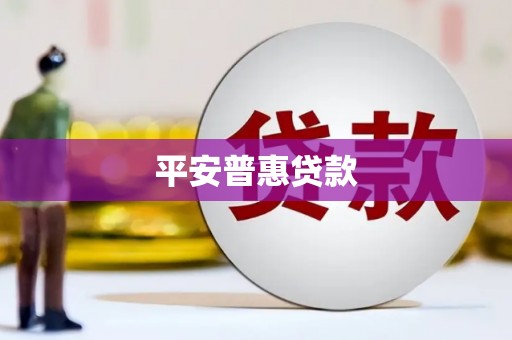 谯城平安普惠贷款