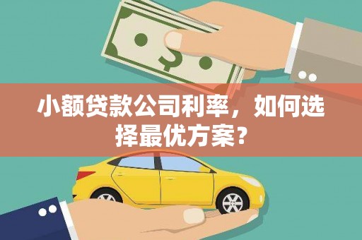 谯城小额贷款公司利率，如何选择最优方案？