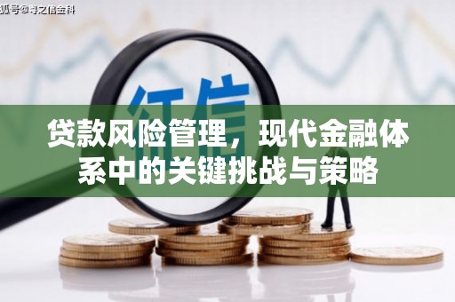 谯城贷款风险管理，现代金融体系中的关键挑战与策略