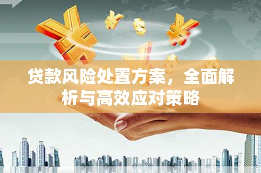 谯城贷款风险处置方案，全面解析与高效应对策略