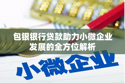 谯城包银银行贷款助力小微企业发展的全方位解析