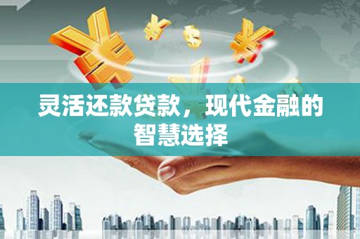 谯城灵活还款贷款，现代金融的智慧选择