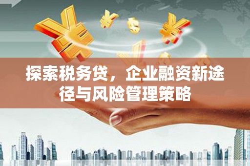 谯城探索税务贷，企业融资新途径与风险管理策略