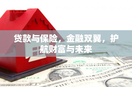 谯城贷款与保险，金融双翼，护航财富与未来