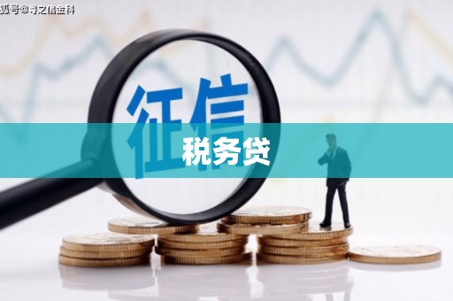 谯城税务贷