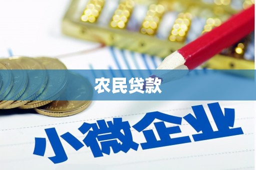 谯城农民贷款