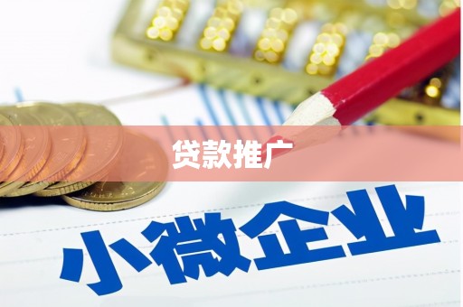 谯城贷款推广