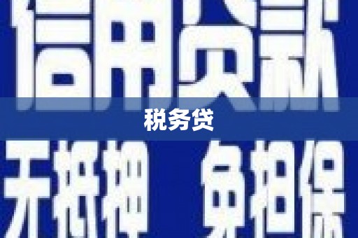 谯城税务贷