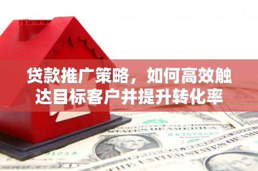 谯城贷款推广策略，如何高效触达目标客户并提升转化率